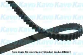 Ремінь ГРМ Kavo Parts DTB-1003