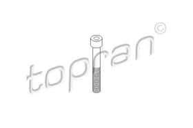 Болт кріплення скоби гальмівного супорта Topran 110 707