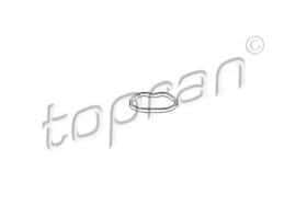Прокладка впускного колектора Topran 302 263