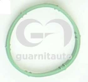 Прокладка впускного коллектора Guarnitauto 1847638100