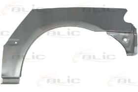 Крило переднє