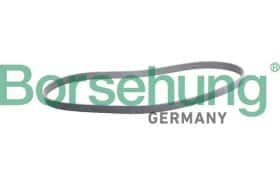 Поликлиновой ремень Borsehung b12387