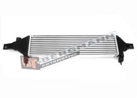 Інтеркулер GT-Bergmann gt12026