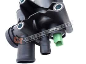 Термостат GT-Bergmann gt17026