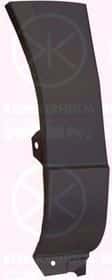 Крило переднє