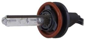 Автолампа InfoLight H8 PGJ19-2 35 W прозора 3165