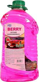 Омивач скла Wisso літній Berry