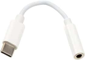 Переходник PowerPlant CA913213 USB type-C - 3.5 (Female) Переходник PowerPlant CA913213 USB type-C - 3.5 (Female)