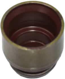 Сальник клапана Reinz 70-52748-10