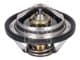 196060 Febi Термостат