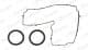 HM5369 Payen Комплект прокладок клапанной крышки