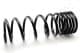 zc5502d Japanparts Пружина підвіски