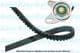 DKT-5504 Kavo Parts Комплект ременя ГРМ