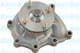 HW-1071 Kavo Parts Помпа