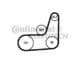 6PK1033 ELAST T1 Contitech Комплект поликлинового ремня