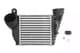 DAA009TT Thermotec Інтеркулер
