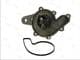 D1M043TT Thermotec Помпа