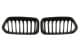 6502070060911P BLIC Решітка радіатора для BMW X2
