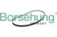 b10228 Borsehung Ремінь ГРМ