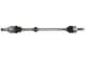 PNG74930 POINT GEAR Піввісь для Toyota C-HR