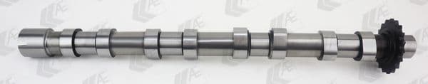 cam1018 AE Распредвал
