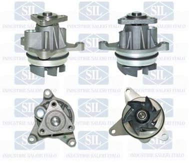 PA1138 Saleri Sil Помпа