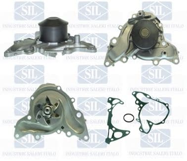 PA1241 Saleri Sil Помпа