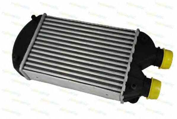 DAF002TT Thermotec Інтеркулер