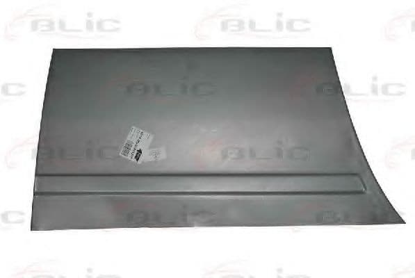 6015-00-3541121P BLIC Двері