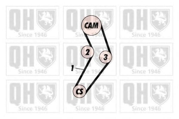 QTB589 Quinton Hazell Ремінь ГРМ