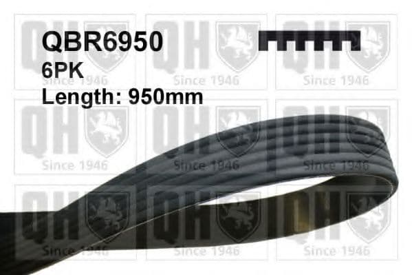 QBR6950 Quinton Hazell Поликлиновой ремень