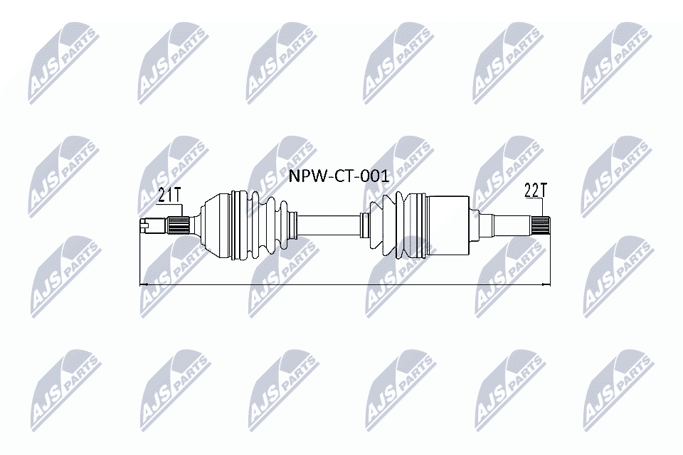 npwct001 NTY Піввісь