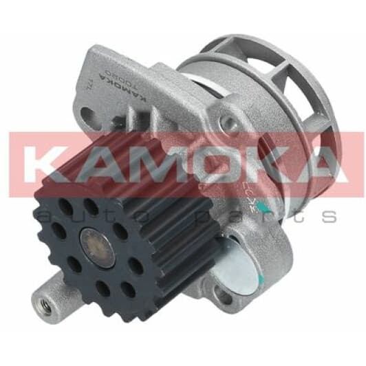 T0020 Kamoka Помпа