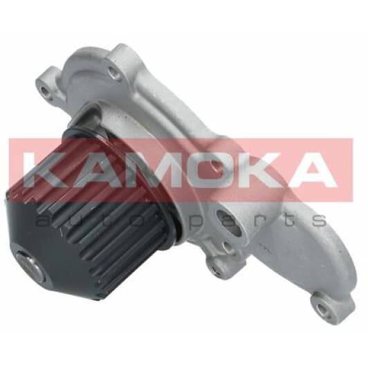 T0075 Kamoka Помпа