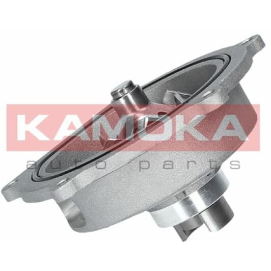 T0145 Kamoka Помпа