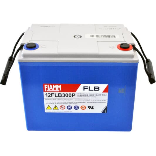 Акумулятор для дбж Fiamm 817178 80 Аг 12 В