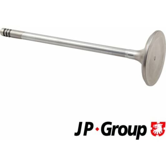 1211302000 JP Group Впускной клапан