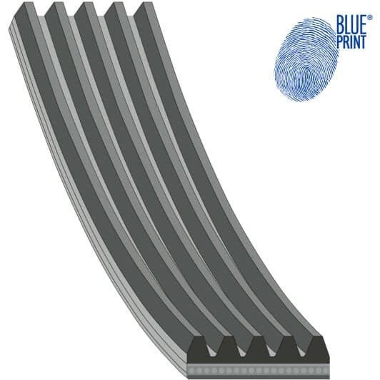 AD05R866 Blue Print Поліклиновий ремінь