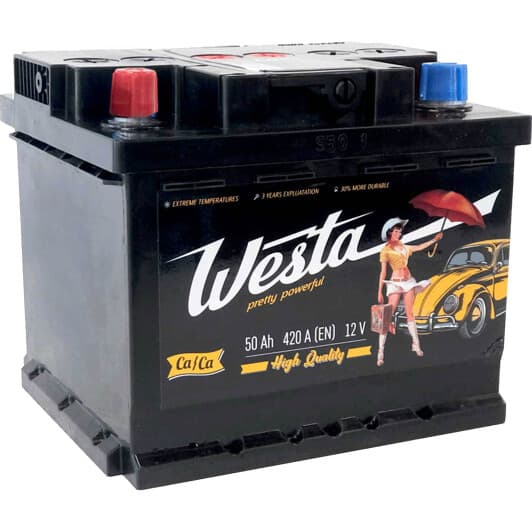 Аккумулятор Westa 6 CT-50-L Pretty Powerful WST5001LB1