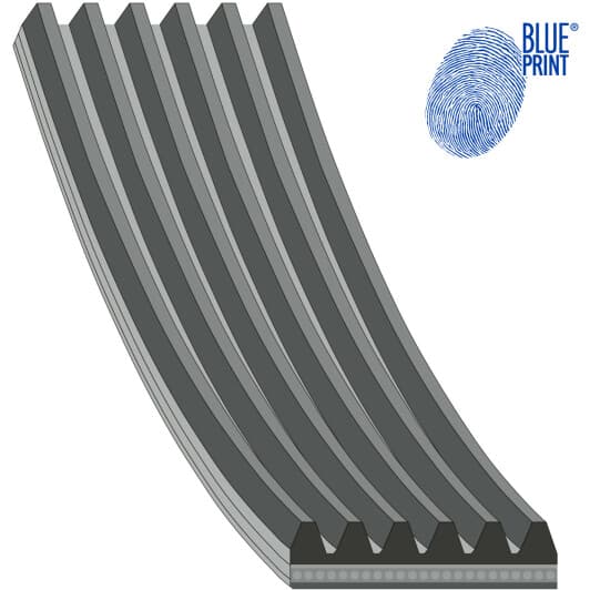 AD06R2130 Blue Print Поліклиновий ремінь