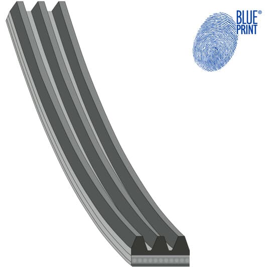 AD03R854 Blue Print Поліклиновий ремінь