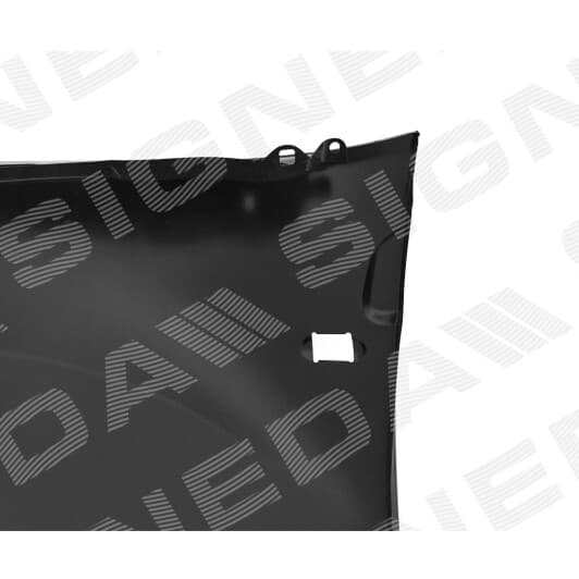 PRN10052AR Signeda Крило переднє для Dacia Duster
