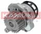 T0022 Kamoka Помпа