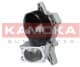 T0048 Kamoka Помпа