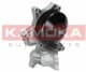 T0048 Kamoka Помпа
