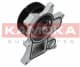 T0048 Kamoka Помпа