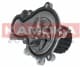 T0075 Kamoka Помпа