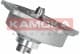 T0145 Kamoka Помпа