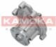 T0182 Kamoka Помпа