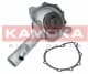 T0187 Kamoka Помпа